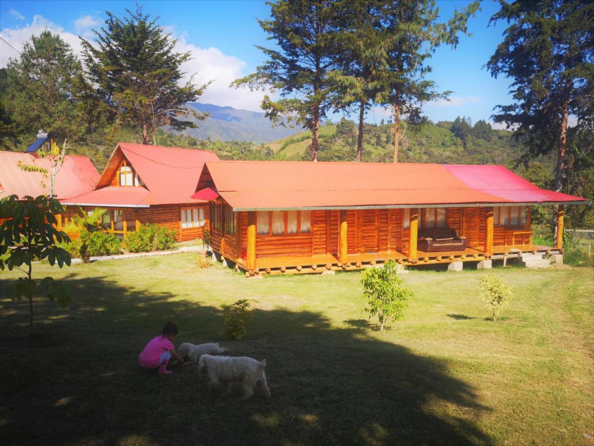 Hassinger Ranch Cabanas Oxapampa Ngoại thất bức ảnh