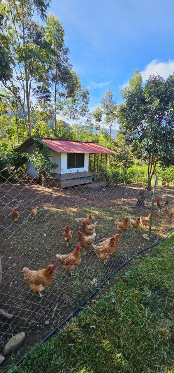 Hassinger Ranch Cabanas Oxapampa Ngoại thất bức ảnh