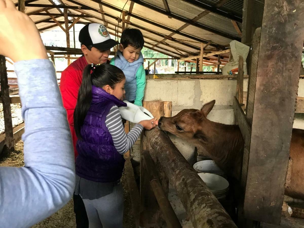 Hassinger Ranch Cabanas Oxapampa Ngoại thất bức ảnh